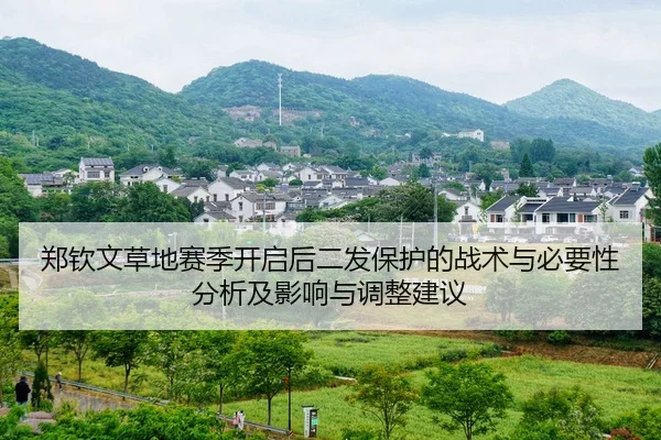 zheng-qin-wen-cao-di-sai-ji-kai-qi-hou-er-fa-bao-hu-de-zhan-shu-yu-bi-yao-xing-fen-xi-ji-ying-xiang-yu-tiao-zheng-jian-2-338.jpg